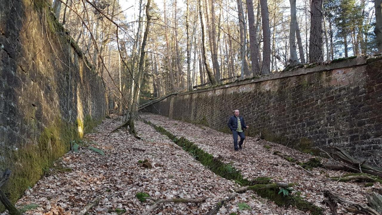 Chambre Avec Grand Lit Soultz-sous-Forets Exterior photo